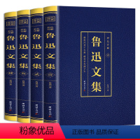 [正版]鲁迅全集全套4册作品集文集原著朝花夕拾狂人日记彷徨故乡野草呐喊孔乙己阿Q正传小说散文集初中六七年级必读课外书籍