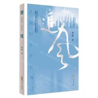 [N]追风-9787539671338