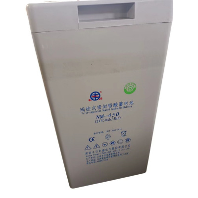 丰日 阀控式密封蓄电池 NM-450(2V450ah/5hr) 每组24只 组