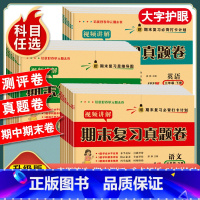 [5本套/人教版]语数英试卷+练字帖+阅读理解 三年级下 [正版]一年级二年级三年级四五六年级上册下册试卷测试卷全套人教