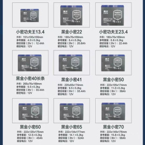 免维护蓄电池(12V/55A.h)