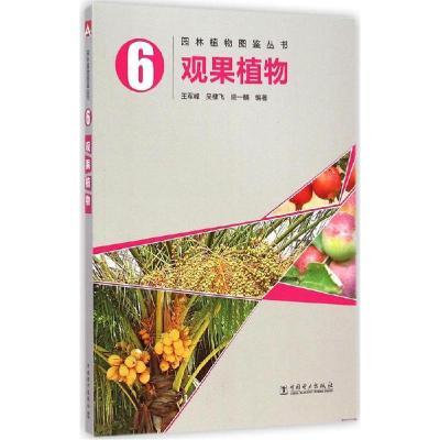 正版新书]观果植物王军峰9787512365919
