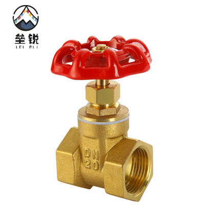 垒锐 铜闸阀 6分 个