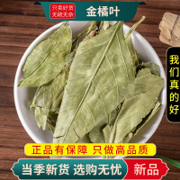 甄选金橘叶100克干货正品桔叶金桔叶煮水泡茶橘叶无硫9260