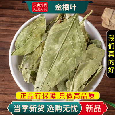 甄选金橘叶100克干货正品桔叶金桔叶煮水泡茶橘叶无硫9260