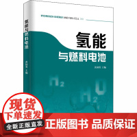 氢能与燃料电池 黄国勇 中国经济出版社