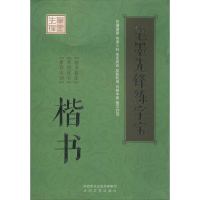 音像笔墨先锋练字宝李放鸣 著