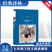 音像骆驼祥子老舍