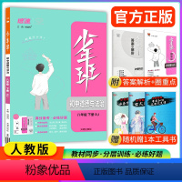 道德与法治 八年级下 [正版]2024版少年班八年级下册道德与法治人教版RJ 初二八下政治同步练习册初中必刷题初一初二初