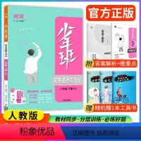 道德与法治 八年级下 [正版]2024版少年班八年级下册道德与法治人教版RJ 初二八下政治同步练习册初中必刷题初一初二初