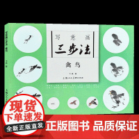 写意画三步法·禽鸟中国传统写意国画麻雀雄鹰孔雀丹顶鹤燕子基本三步画法教程国画初级入门初学自学临摹范本