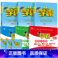 6本 [学霸作业本+提优大试卷]语+数+英(苏教版) 六年级下 [正版]2024春新经纶小学学霸提优大试卷一年级下册二四
