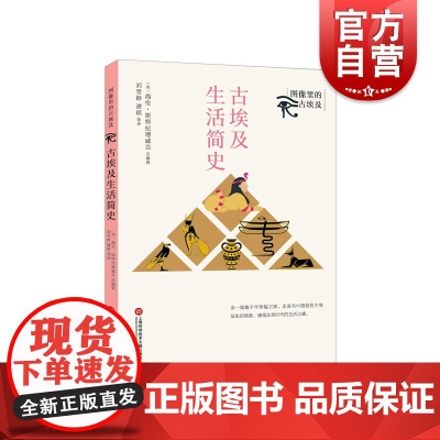 古埃及生活简史 图像里的古埃及百科全书王朝演变文明古国历史文化世界历史科普读本上海科学技术文献出版社