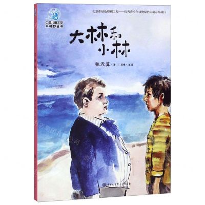 [N]大林和小林/中国儿童文学大视野丛书-9787520205382