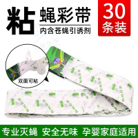 粘蝇彩带粘蝇彩条板粘蝇条贴纸粘蝇子卷灭蝇药苍蝇纸苍蝇药苍蝇贴 30条(双面粘蝇彩带