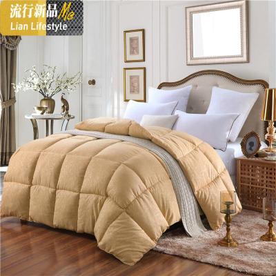 被子被芯保暖加厚棉被单人双人空调被学生棉被褥春秋被芯 三维工匠