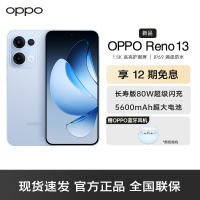 OPPO Reno13 星河蓝 12GB+256GB 超美小直屏 AI高清实况照片 IP69满级防水 双芯抢网 拍照手机