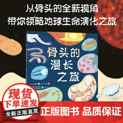 正版童书 骨头的漫长之旅生物简史人类进化科普绘本3-4-6岁幼儿园宝宝儿童早教启蒙益智认知读物一二年级小学生课外阅读书籍