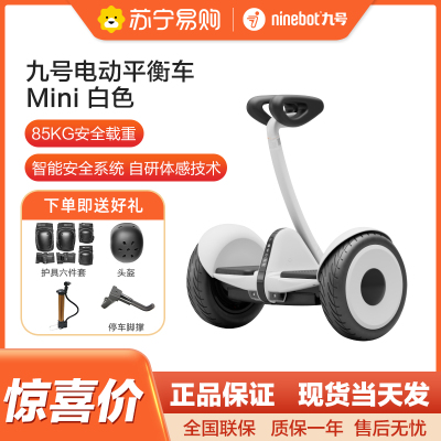 九号(Ninebot)电动平衡车小九迷你Mini成年人电动车代步腿控智能两轮大人长续航 Mini小九 白色
