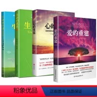 [正版] 4本套生命的重建 全套4册 心的重建+爱的重建+生命的重建2册 心灵导师露易丝海的人生哲理 心灵健康书排