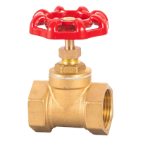 满盛达建 铜闸阀 DN50 个