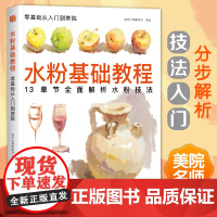 水粉基础教程临摹书籍色彩解析单体静物入门零基础单个范本画画册起步杭州国美联考美院美术高考考试教材