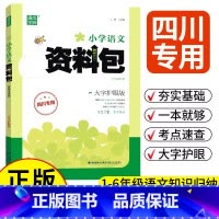 小学语文资料包(四川专用) 小学通用 [正版]通成学典小学小升初资料包语文四川 全国通用 一二三四五六年级基础知识工具书