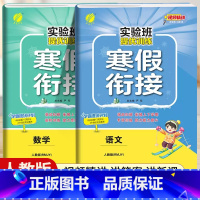 [四年级人教版2本]语文+数学寒假衔接 小学通用 [正版]2024新实验班寒假衔接一年级二年级四五六三年级上册下册小学语