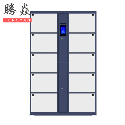 腾焱存包柜10门台