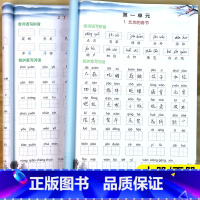 看拼音写词语 六年级上 [正版]2024新 看拼音写词语六年级上册下册语文专项组合训练小学6年级下生字注音汉字字词句子强