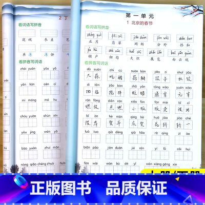 看拼音写词语 六年级上 [正版]2024新 看拼音写词语六年级上册下册语文专项组合训练小学6年级下生字注音汉字字词句子强