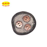 傻实在 电缆 国标全项保检 高 YJV22 3*50mm² 米