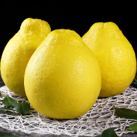 [熊猫鸟]新鲜沙田柚 白心柚 净重4.7斤 3-4个 新鲜柚子水果 蜜柚