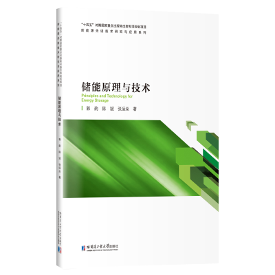醉染图书储能原理与技术9787560388007
