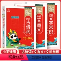 [全3册]古诗词+文言文+文学常识 小学通用 [正版]8分钟必背高频成语训练大全通用版一二三四五六年级小学生四字词语带解