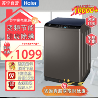 海尔(Haier) 10公斤大容量 波轮洗衣机全自动 直驱变频 蝶型水流 除螨洗租房神器EB100B20Mate1