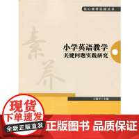 小学英语教学关键问题实践研究