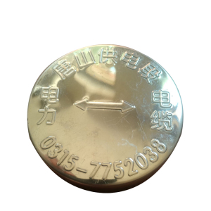 锲衡 地面标识牌 100mm*20mm 块