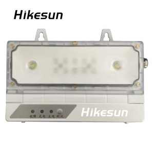 和齐顺(Hikesun) LDJ001 消防应急照明灯 (计价单位:个) 灰色