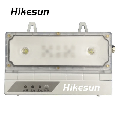 和齐顺(Hikesun) LDJ001 消防应急照明灯 (计价单位:个) 灰色