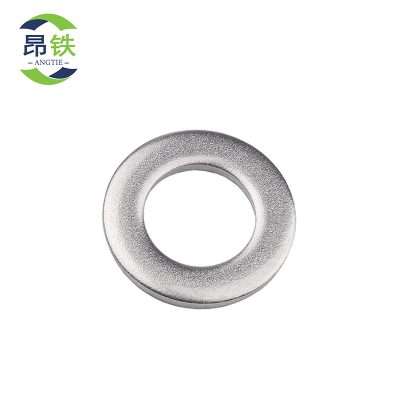 昂铁 不锈钢平垫 M16 个
