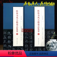 [正版]欧体书风小楷墓志集萃壹贰全2册 唐欧阳询楷书毛笔书法入门原碑帖临摹字帖邓通夫人任氏墓志/丘师/窦娘子/王女节/