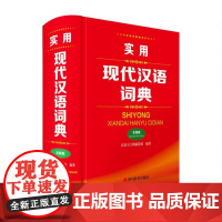 实用现代汉语词典(全新版)