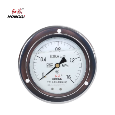 红旗 耐震压力表定制检测款 YTN100ZT 块