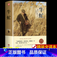 精装版-牛虻 [正版]牛虻 书世界名著书籍书排行榜 经典文学书适合初中生高中生大学生课外阅读青春励志读物2017好书