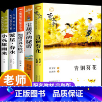[全5册]青铜葵花+宝葫芦+繁星春水+小英雄雨来+细菌世界 [正版]青铜葵花草房子原著完整版 小学生三四五六年级下册阅读