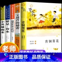 [全5册]青铜葵花+宝葫芦+繁星春水+小英雄雨来+细菌世界 [正版]青铜葵花草房子原著完整版 小学生三四五六年级下册阅读