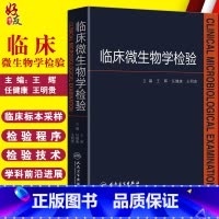 [正版] 临床微生物学检验 王辉 任健康 王明贵主编 人民卫生出版社 临床诊断 基础临床微生物学 基础理论学 临床