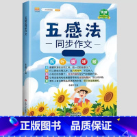 五感法写作文(全1册) 二年级上 [正版]五感法写作文三到六年级同步作文全套小学语文一年级二年级看图写话四五上册下册人教