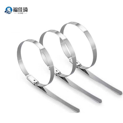 福佳琦 不锈钢扎带 4.6*300mm 根